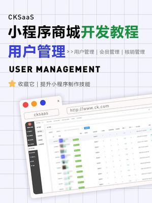 小程序開發(fā)崗位解析 從技術到維護的職業(yè)全景